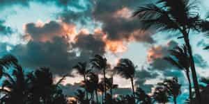 Dominican Republic